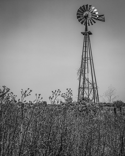 ranch old columbus blackandwhite bw windmill monochrome us blackwhite weeds texas unitedstates farm vanes aermotor