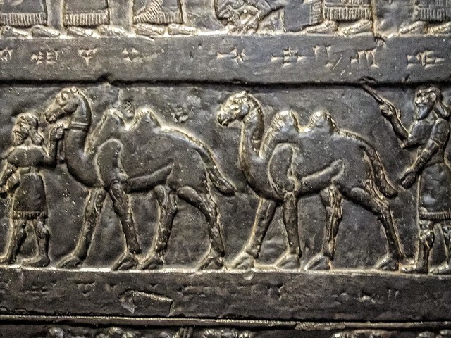 Detail of a plaster cast of the Black Obelisk of Shalmaneser III King of Assyria dated 827 BCE (3)