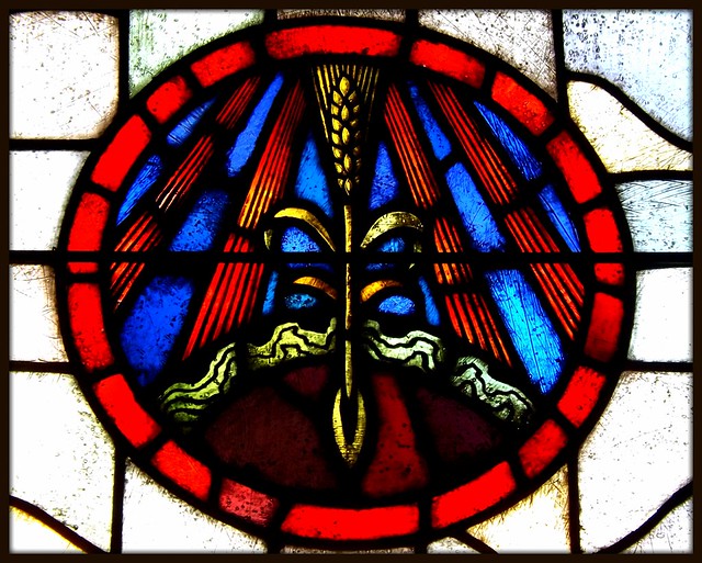 Former Epiphany Roman Catholic Church: Stained Glass Window, Stalk of Wheat--Detroit MI