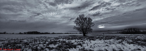winter white black clouds landscape nikon wolken tokina landschaft weiss baum schwarz d90 1116