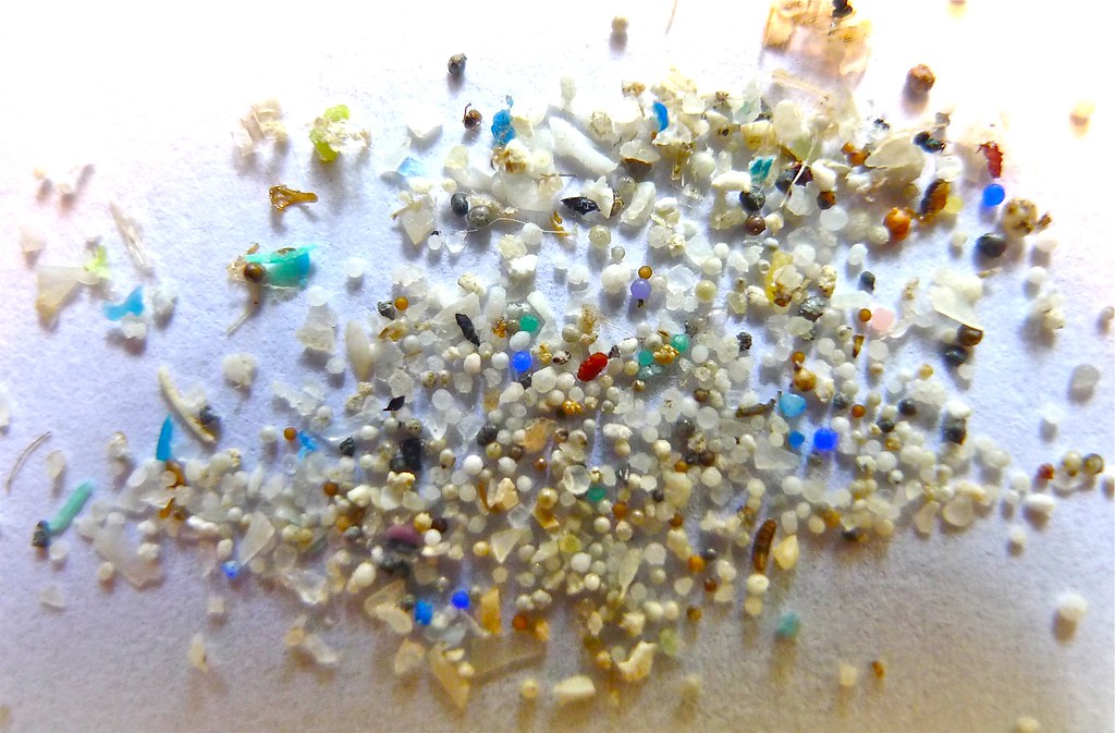Image result for microplastics