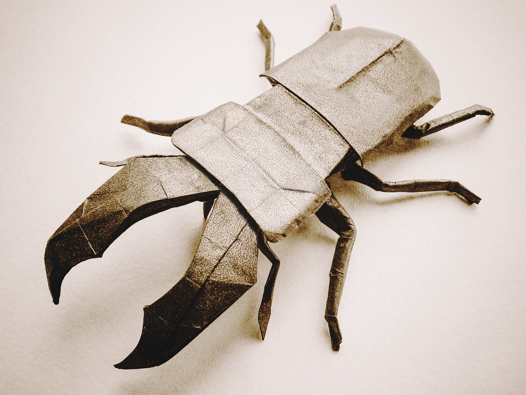 Stag Beetle (Riccardo Foschi) | Old model refolding: Stag Be… | Flickr