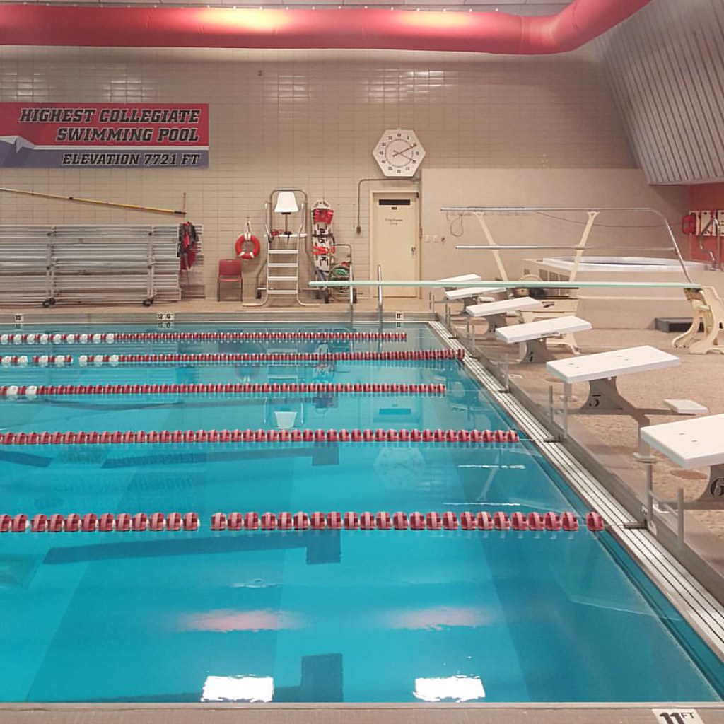 It was quiet this morning but it will be busy w/a @western… | Flickr