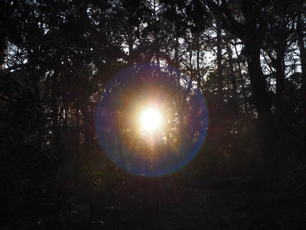 sun and shade | OLYMPUS DIGITAL CAMERA | carlinsc | Flickr