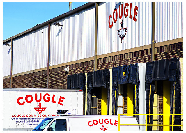 Cougle Comission - Fulton Market
