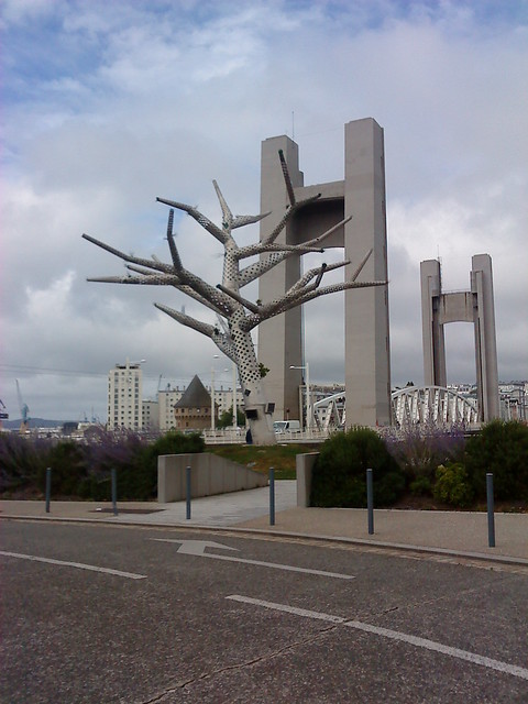 L'arbre empathique - Brest