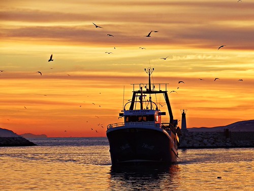 Regresa al puerto de Estepona. by Antonio Chac, Barco pesquero regresa al atardecer al puerto de Estepona, España.sunset españa atardecer spain anda