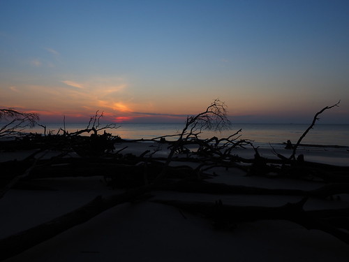 Dawn | OLYMPUS DIGITAL CAMERA | carlinsc | Flickr