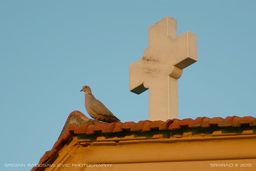 bird turtledove church glossa greece travel sunset vacation sky closeup island skopelos orthodox christianity roof