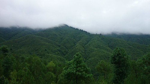 nepal deepgreen subodhphotography