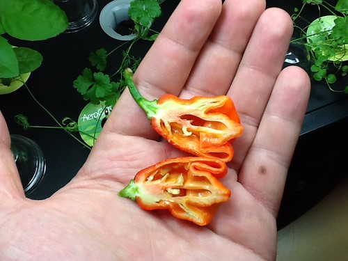 7JPN x Moruga F1 Green Interrior | by Existential2012