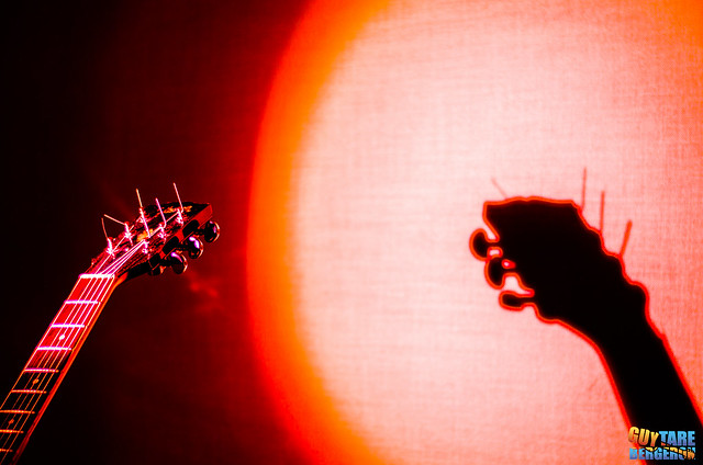 Guitar and its shadow