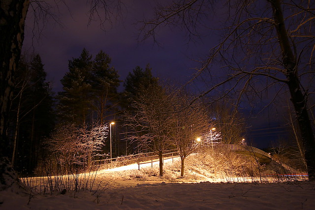 Pedestrian bridge in winter