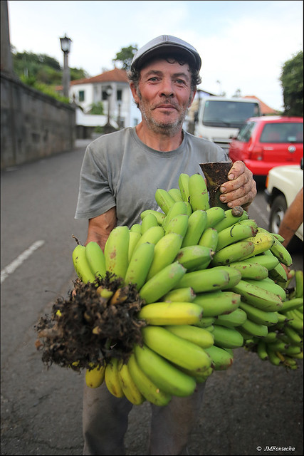 JMF255598 - Madeira - Trabajador de las plantaciones bananeras
