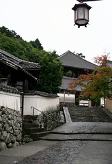 Nara - Nigatsu-do