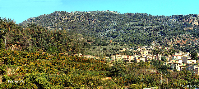 Fornaluxt- Mallorca