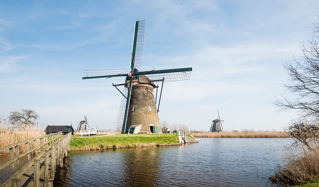 Dutch windmills in springtime