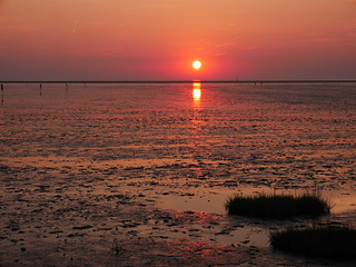 Flickr photo: Friedrichskoog - Watt - Sonnenuntergang