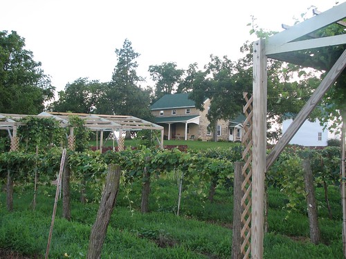 vineyard farm iowa winery baldwin taborhome