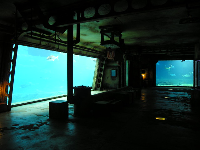 uShaka Marine World Aquarium