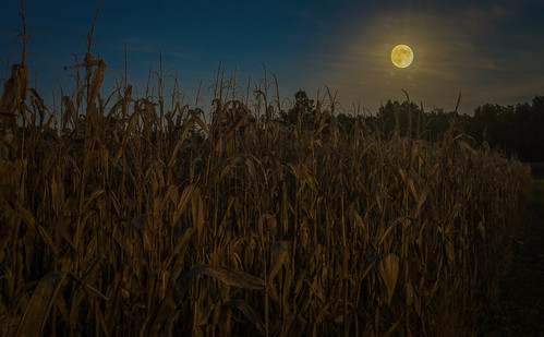 moon fall corn farm kentucky fujifilm benton marshallcounty bobbell xpro1 harvestmon