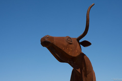 ranch statue us texas unitedstates steel longhorn throckmorton longhorncattle joebarrington bridlebitbull