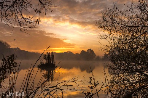 water sunrise reflections swan heanor shipleypark jimbell