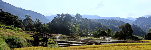 chiangmai countryside homestay doiintanonnationalpark park thailand doiintanon 2015 เชียงใหม่ ชนบท ดอยอินทนนท์ อุทยานแท่งชาติดอยอินทนนท์ ท่งนา farm field arable สวน ประเทศไทย earthasia