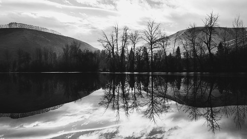 dualiso landscape blackandwhite nature pacificnorthwest reflection water pond canoneos5dmarkiii sigma35mmf14dghsmart outdoors still calm washington