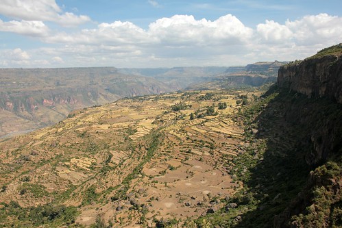 africa grain terraces canyon valley gorge farms agriculture ethiopia cereals jemma oromia ኢትዮጵያ oromiyaa debrelibanos picmonkey:app=editor ደብረ፡ሊባኖስ አፍሪቃ jemmariver ኦሮምያ