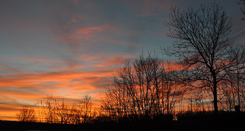 morning sky sun tree silhouette sunrise dawn morn