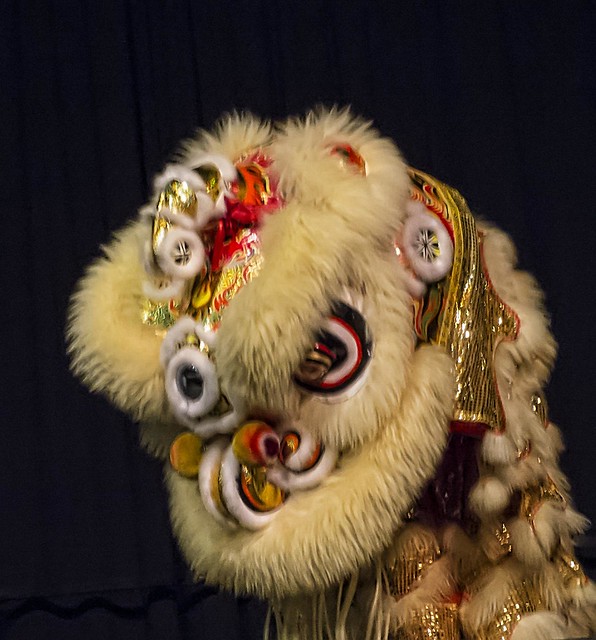 Lion dance costume at the Asian Celebration in Eugene, Oregon