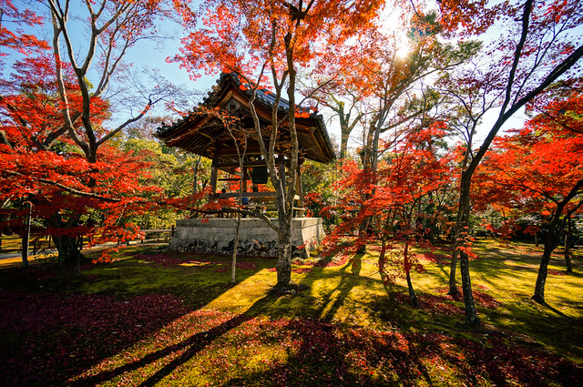 Kinkaku-ji Temple (金閣寺) in Autumn in Kyoto (京都) Japan