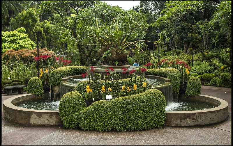 Walk through Singapore Botanic Gardens-03=