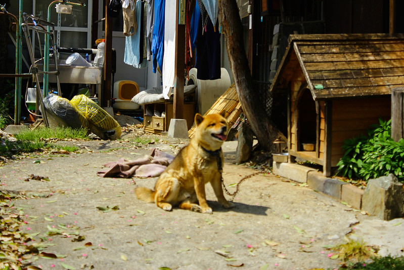 美の山公園