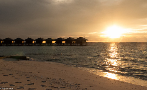 voyage hotel maldives lieux filitheyo hebergement chambredhôte