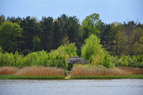 blue trees green reed nature landscape spring pond view poland polska lodzkie łódzkie zgniłebłoto