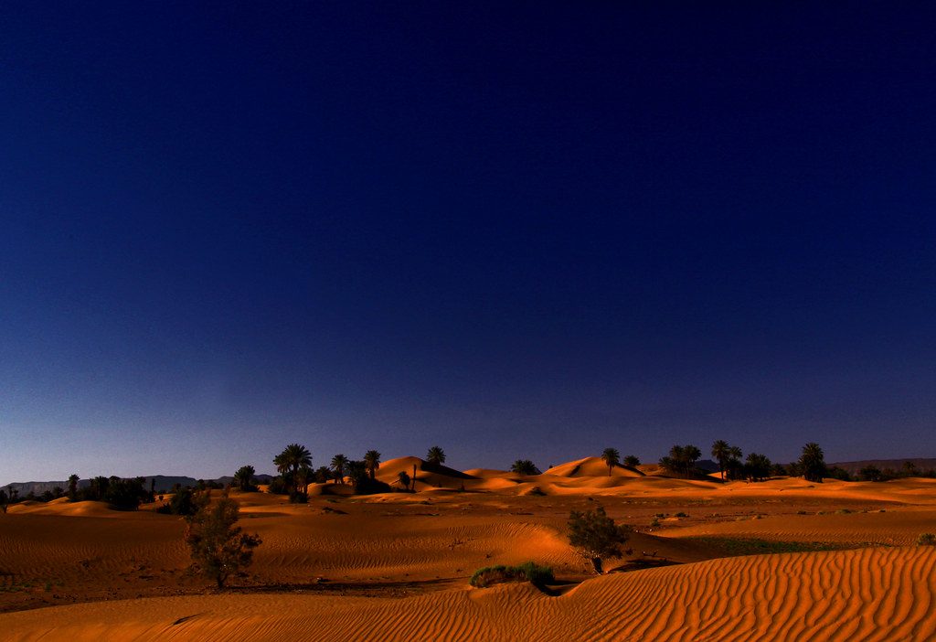 2014-11-18 | Sud Marocain. Les dunes de Bougayir. | Guillaume Baviere ...
