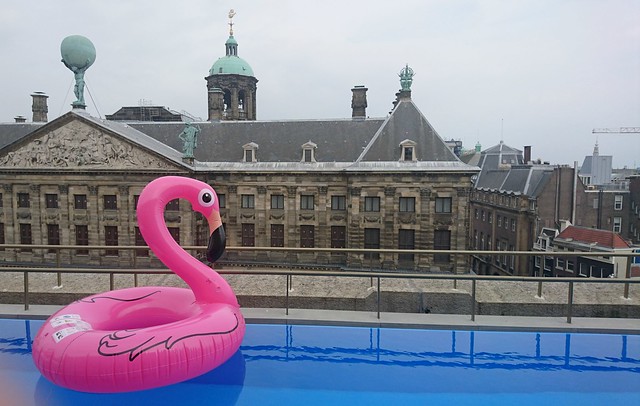 Pink flamingo looking at the roofs of Amsterdam