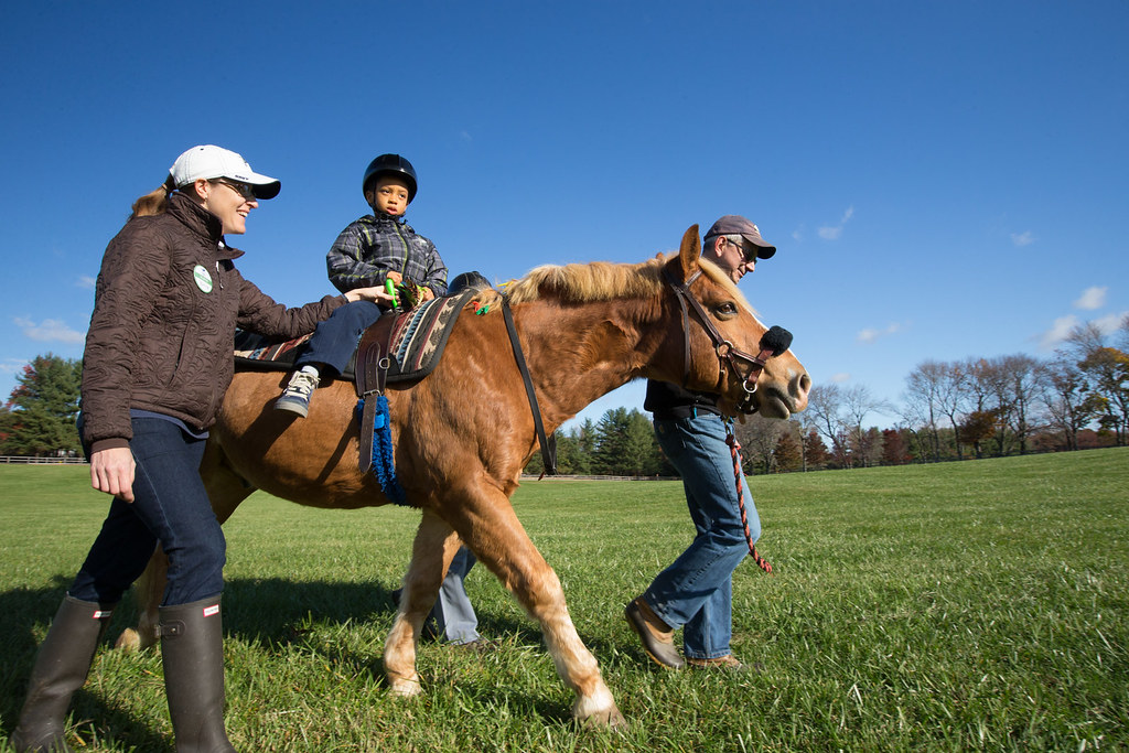 Theraputic Horseback riding