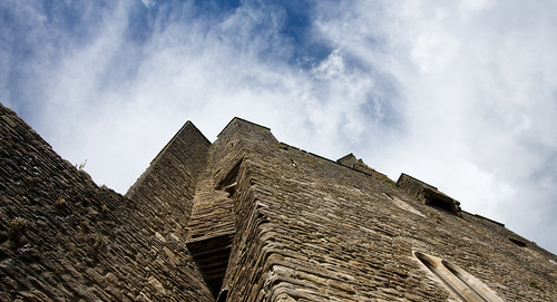 ireland castle ruin tipperary roscrea backpackphotography damerhouse