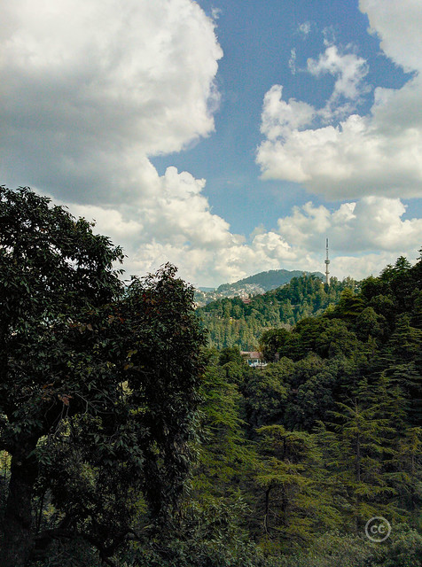 Shimla : A view of TV tower from Summerhill
