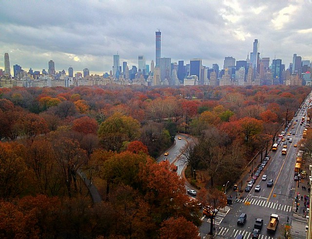 Colorful Central Park In fall