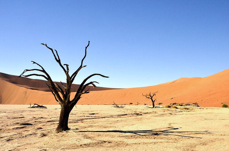Namibia (348)