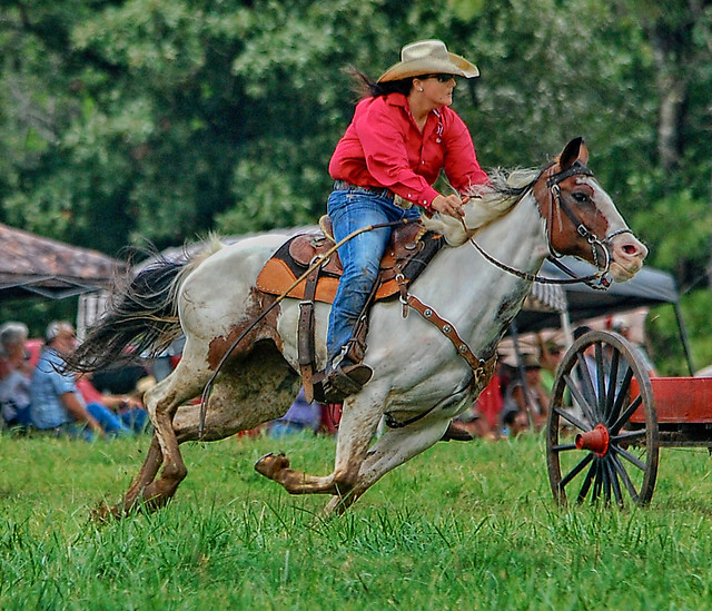 Ride 'Em Cowgirl !