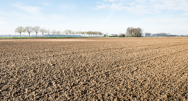 Plowed and cultivated clay soil waiting for winter