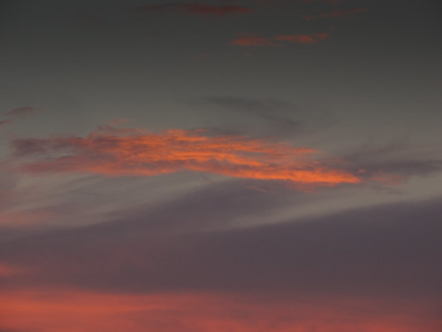 DSCN1679 by wisp_photography, sunset texas unitedstates mico