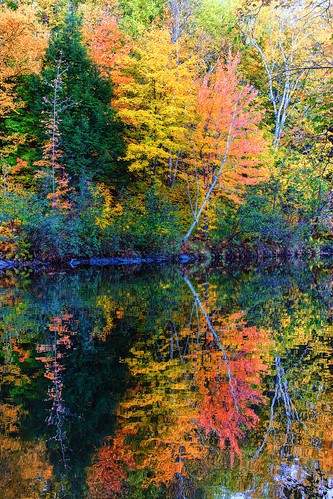 ca autumn trees canada fall nature water river landscape colorful afternoon quebec northamerica goldenhour shawinigan shawiniganwaterfall