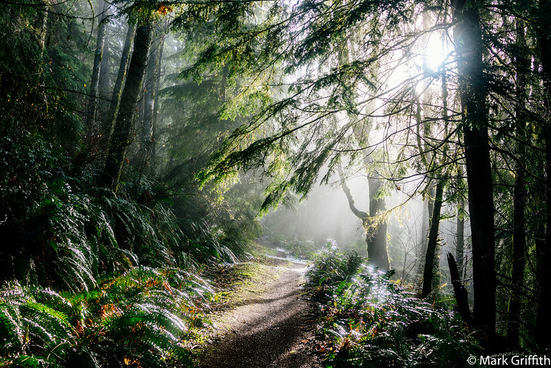 The Light Beyond