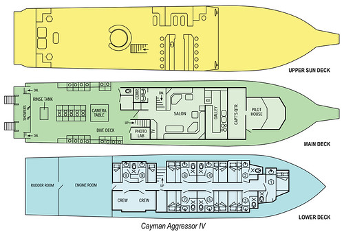 Cayman Aggressor IV